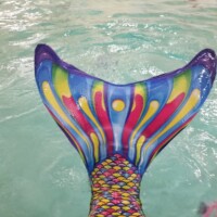 mermaid fin